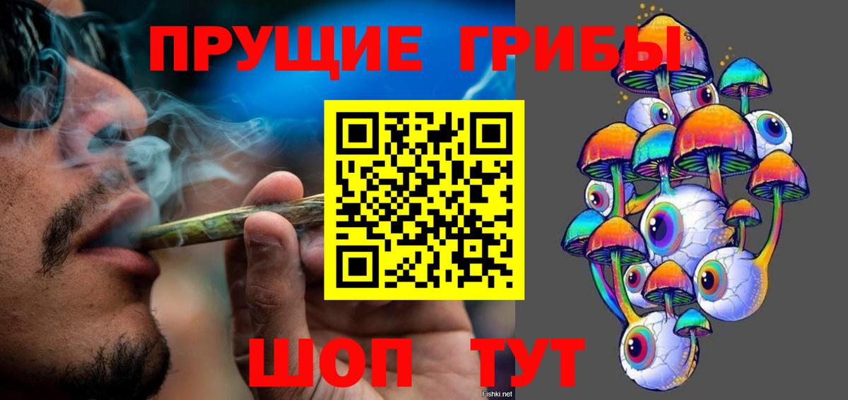 Псилоцибиновые грибы Magic Shrooms  Вход с VPN  Саратов  Псилоцибиновые грибы Psilocybe 